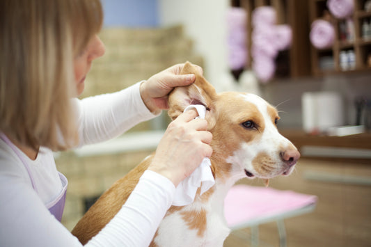 How to use the RUBOLD Natural Ear Cleaner