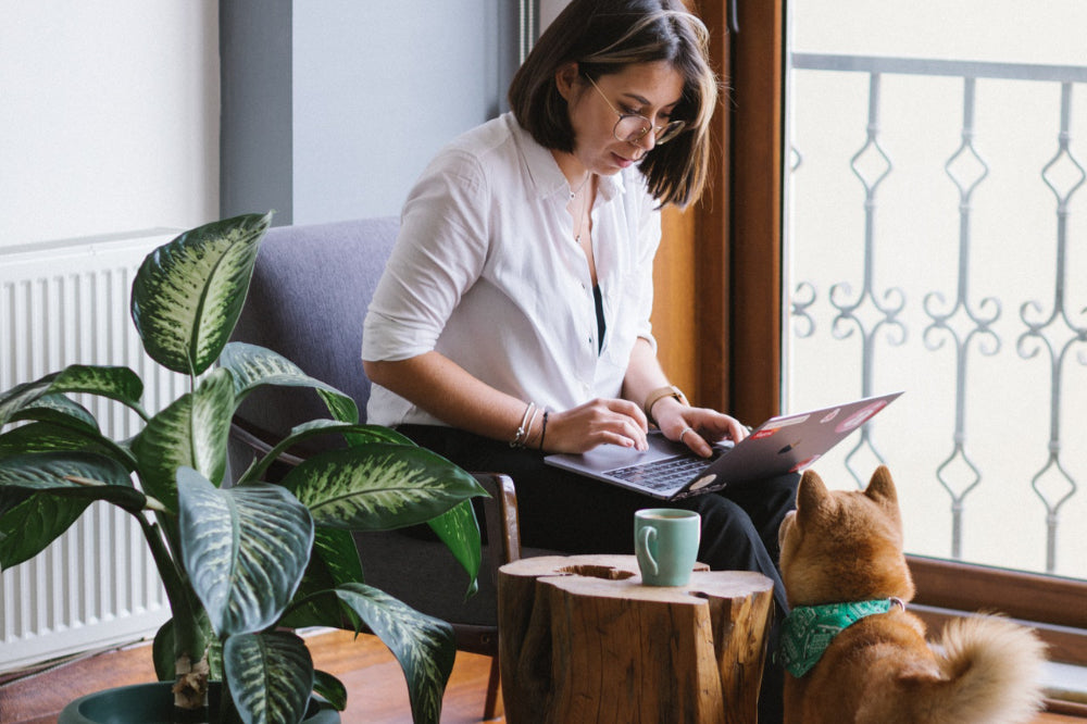 How to Make It Work as an Entrepreneur and a Dog Owner