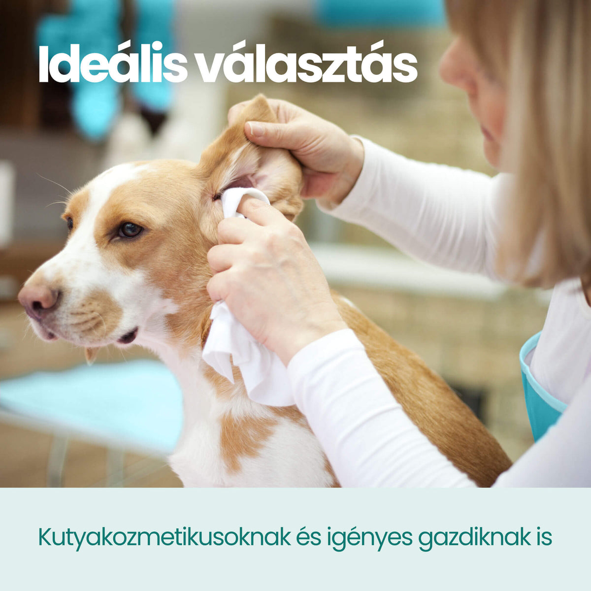 Natural kutya fülcsepp és fültisztító folyadék